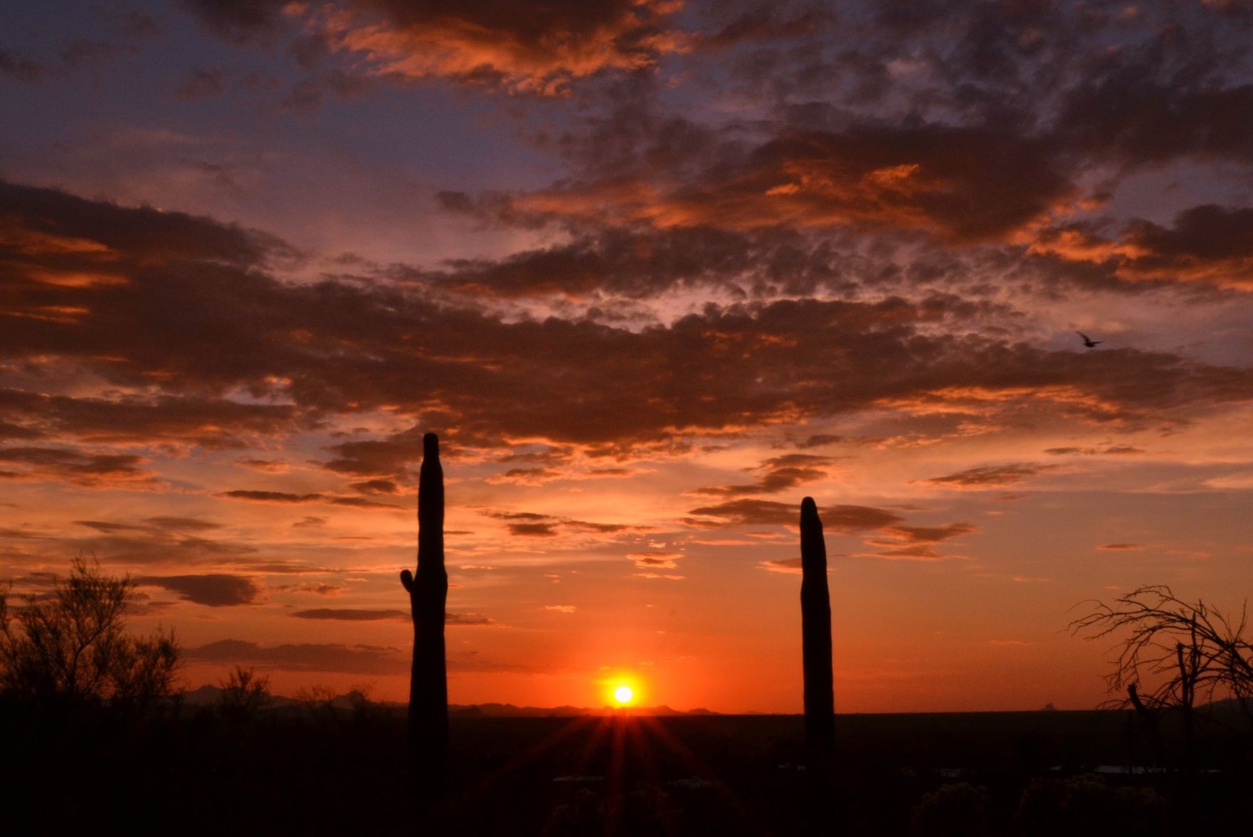 Field Goal Sunset